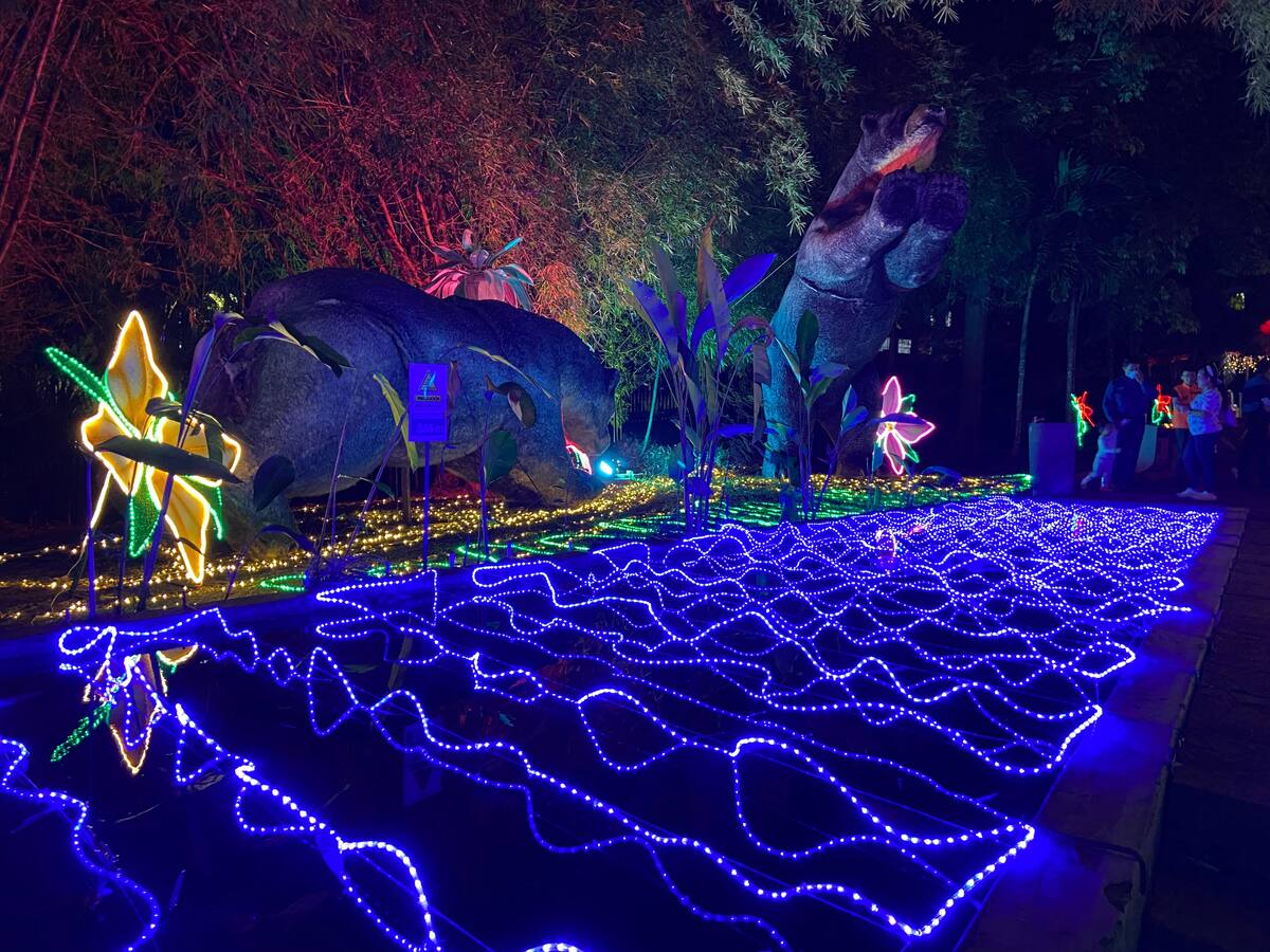 Alumbrado navideño: Contraloría de Bucaramanga abrió actuación especial por millonario contrato