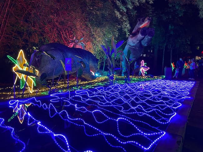 Alumbrado navideño: Contraloría de Bucaramanga abrió actuación especial por millonario contrato. Foto: Suministrada.