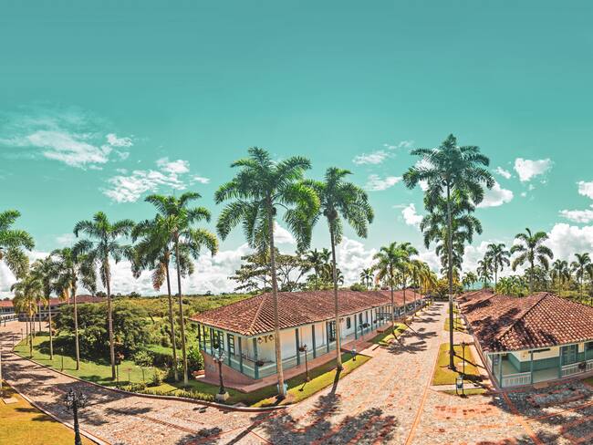 Disfruta de esta promo con Todo Incluido del 1 al 5 de marzo, ingresando en www.decameron.com, llamando al 01800510765 o al 6280000 en Bogotá o visítanos en nuestros puntos de venta.