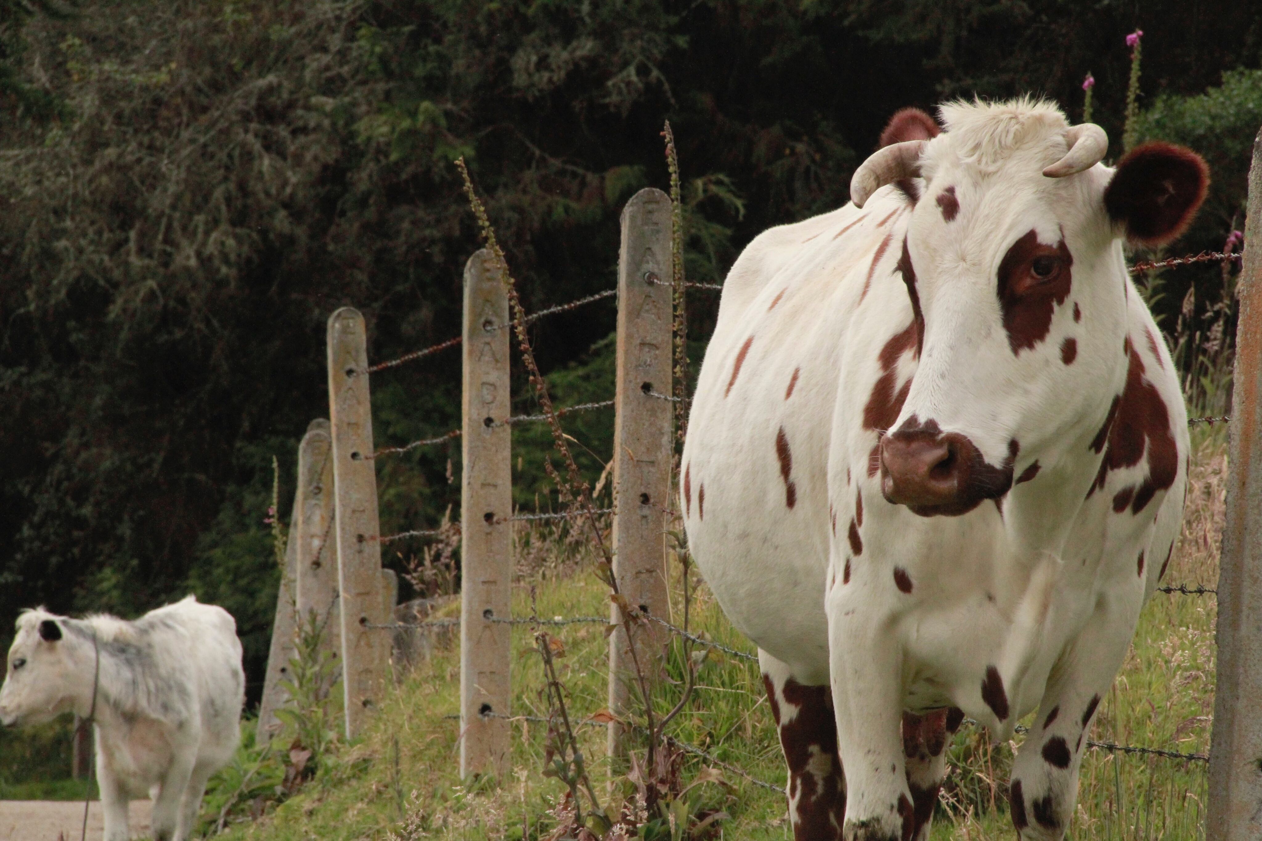 Photo taken in Bogotá, Colombia