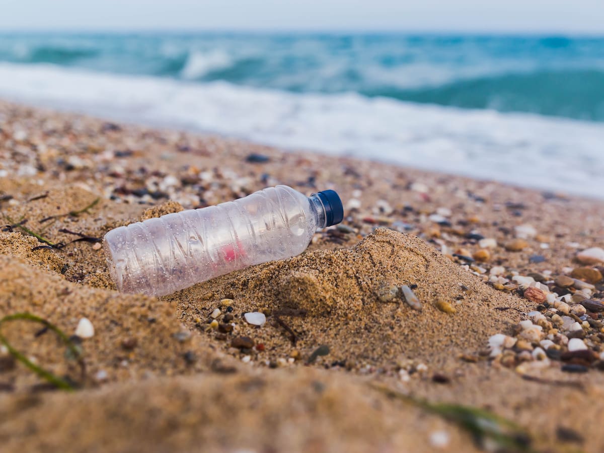 Caso de contaminación fue denunciado en la Ciénaga de Mallorquín, en Barranquilla