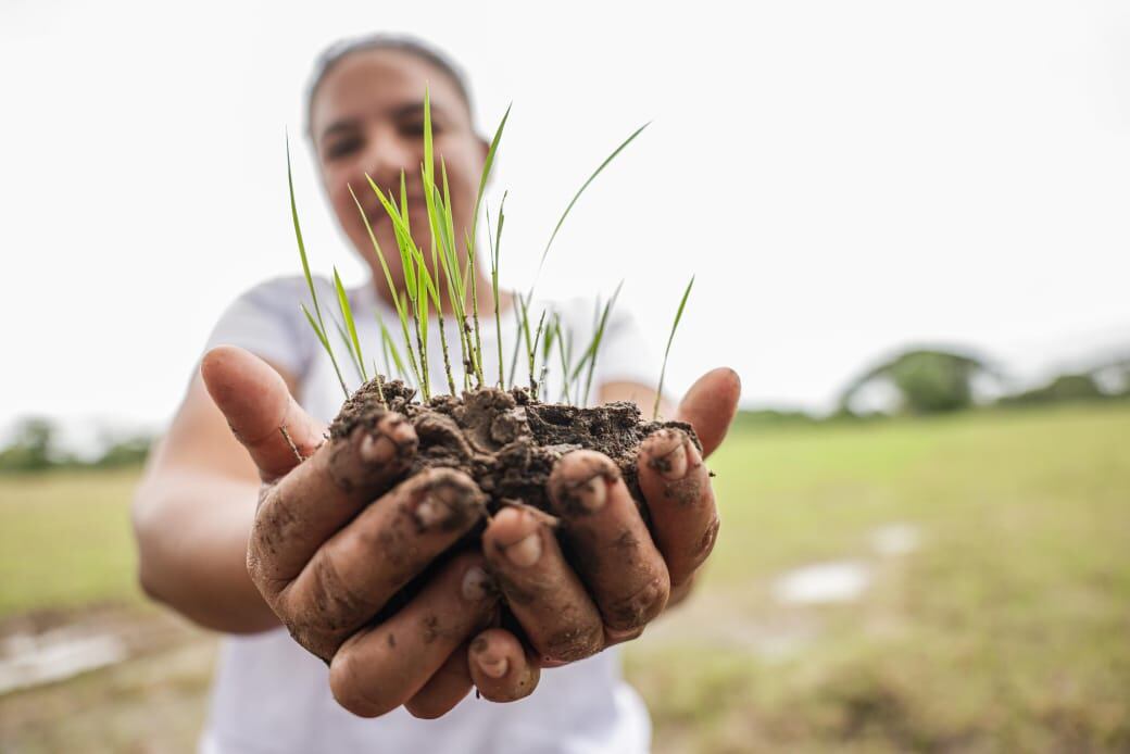 Predio entregado por exgobernador de Córdoba, Alejandro Lyons, pasó a manos de familias campesinas. Foto: prensa Gobernación de Córdoba.