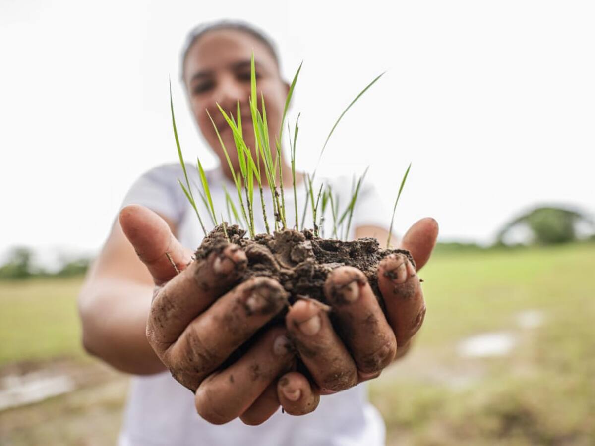 Predio entregado por exgobernador de Córdoba, Alejandro Lyons, pasó a manos de familias campesinas
