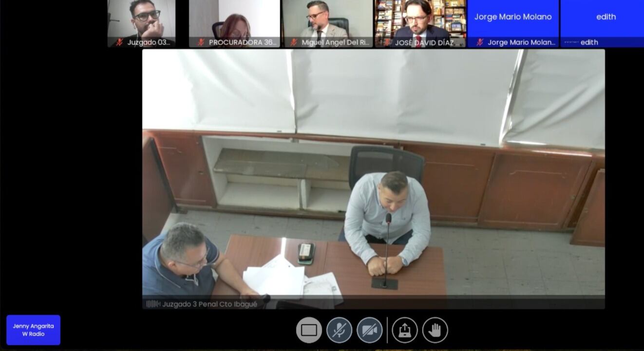 Audiencia Santiago Murillo