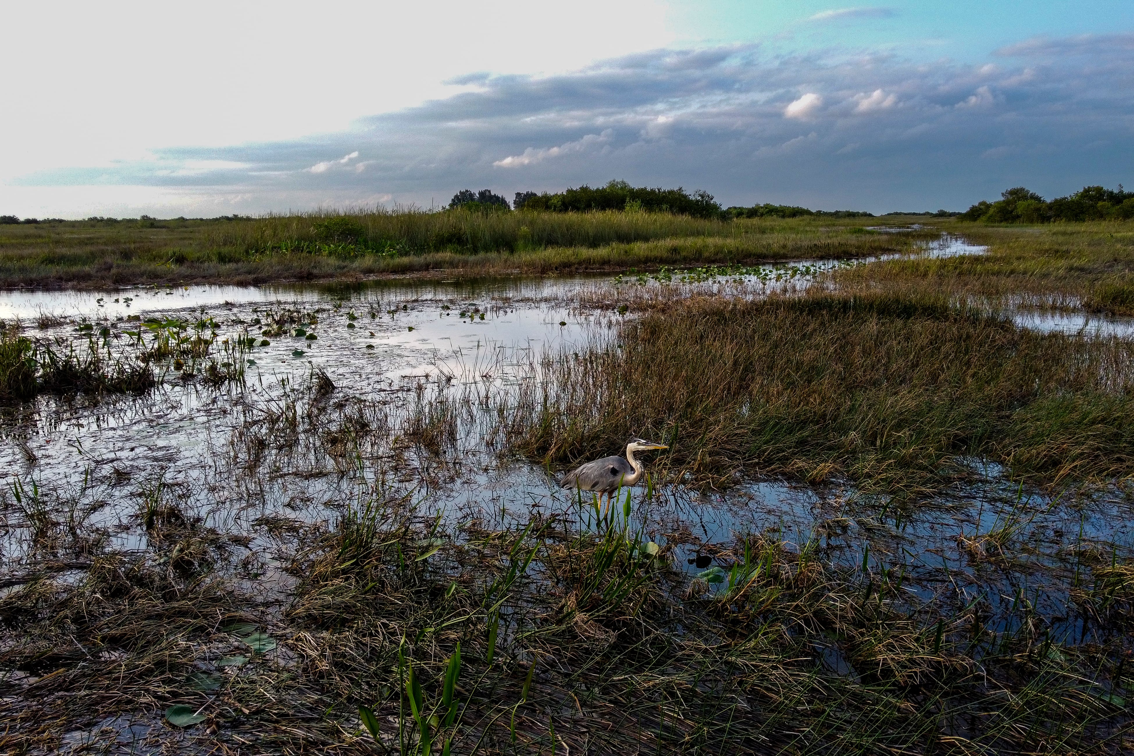 “No pondrá gente en peligro”: exfuncionario de Migración en EE.UU. sobre nuevo centro de detención