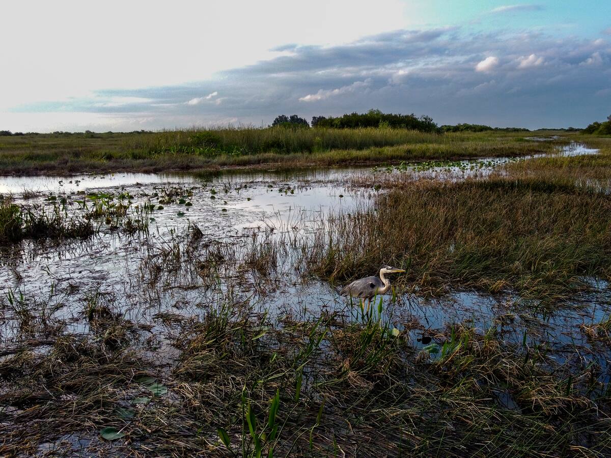 “No pondrá gente en peligro”: exfuncionario de Migración en EE.UU. sobre nuevo centro de detención