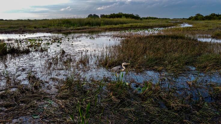 “No pondrá gente en peligro”: exfuncionario de Migración en EE.UU. sobre nuevo centro de detención