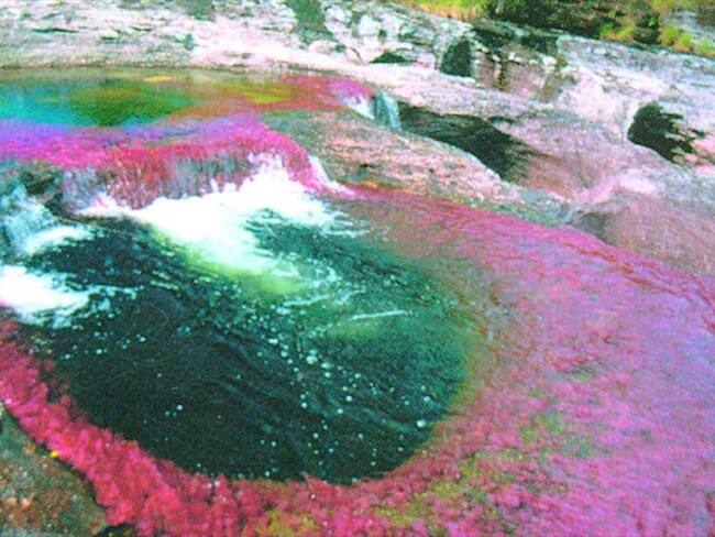 Imagen de referencia - Caño Cristales. Foto: Colprensa