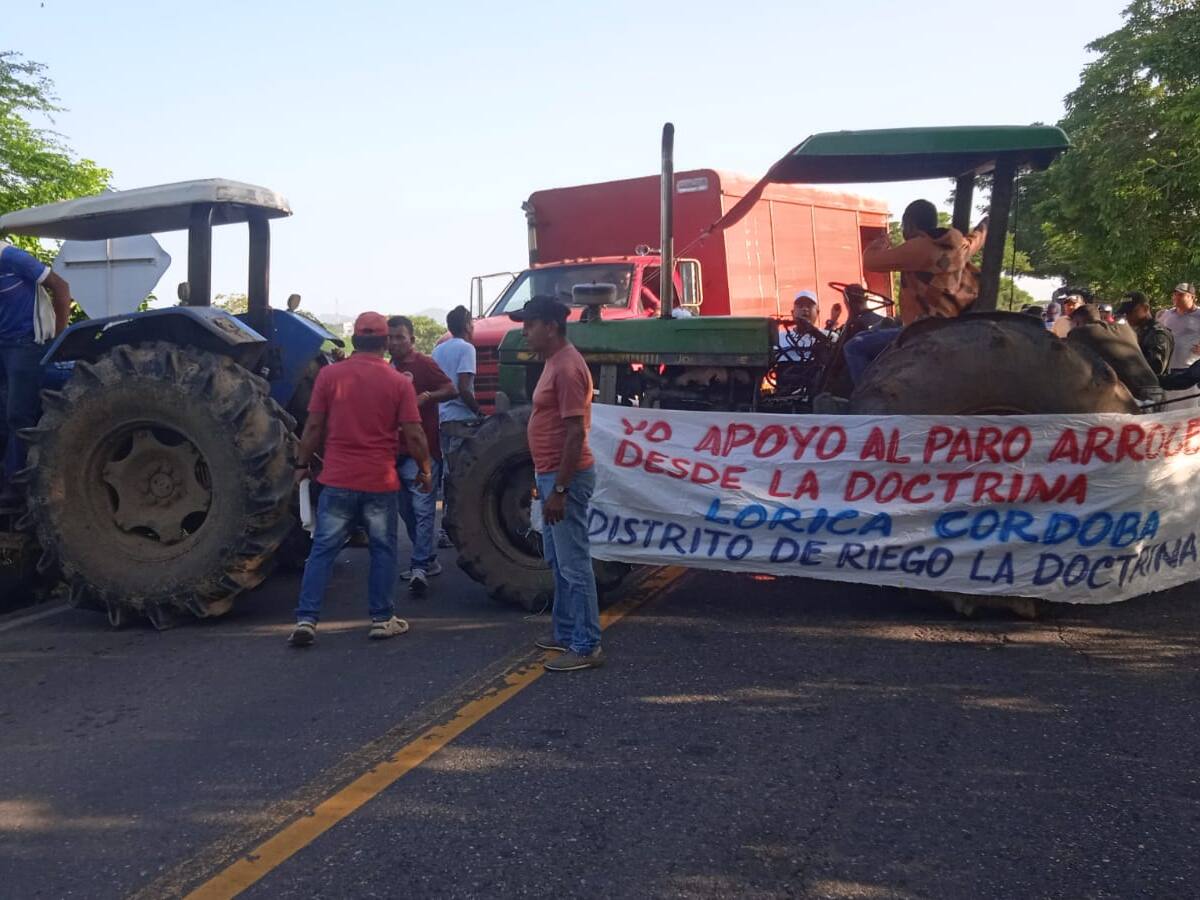 Así avanza el paro arrocero en los departamentos de Córdoba y Sucre: reportan varias vías bloqueadas