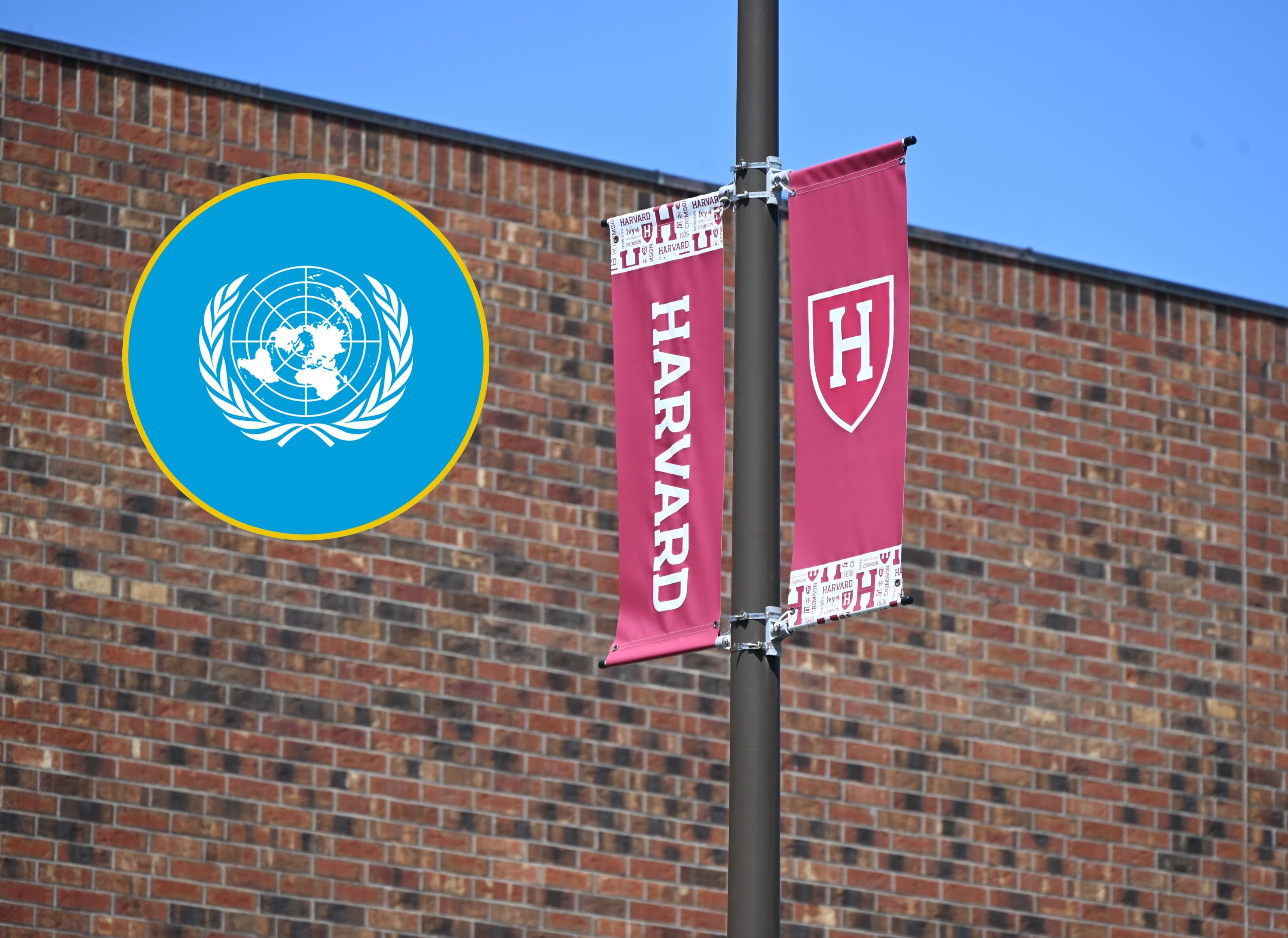 Universidad de Harvard en Massachusetts. FOTO:Kyle Mazza/Anadolu via Getty Images