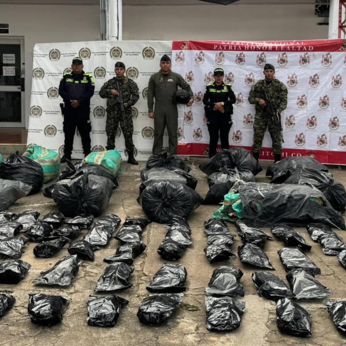 Ejército incautó cerca de media tonelada de marihuana en Rioblanco, Tolima
