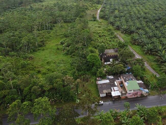 Entrega de predios para excombatientes. Foto: Cortesía ARN