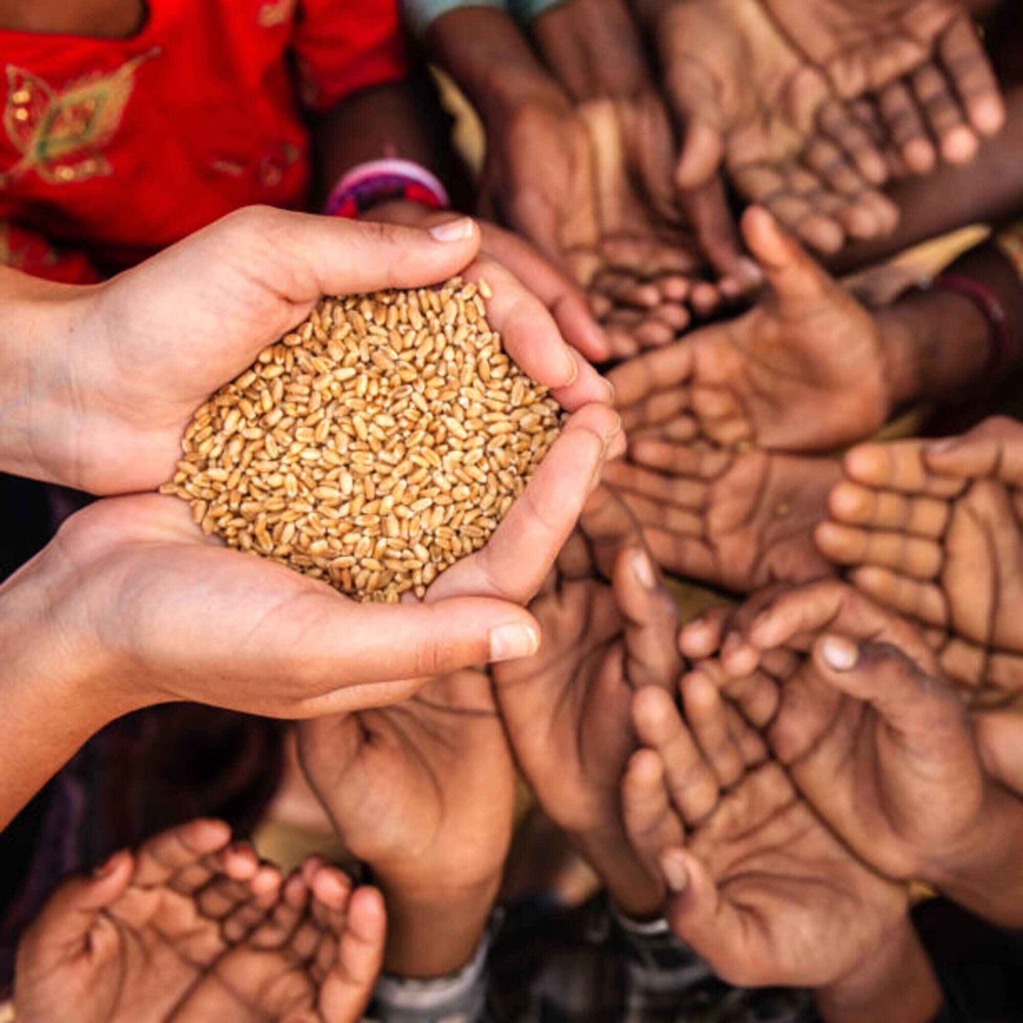 Imagen de referencia/ Getty Images