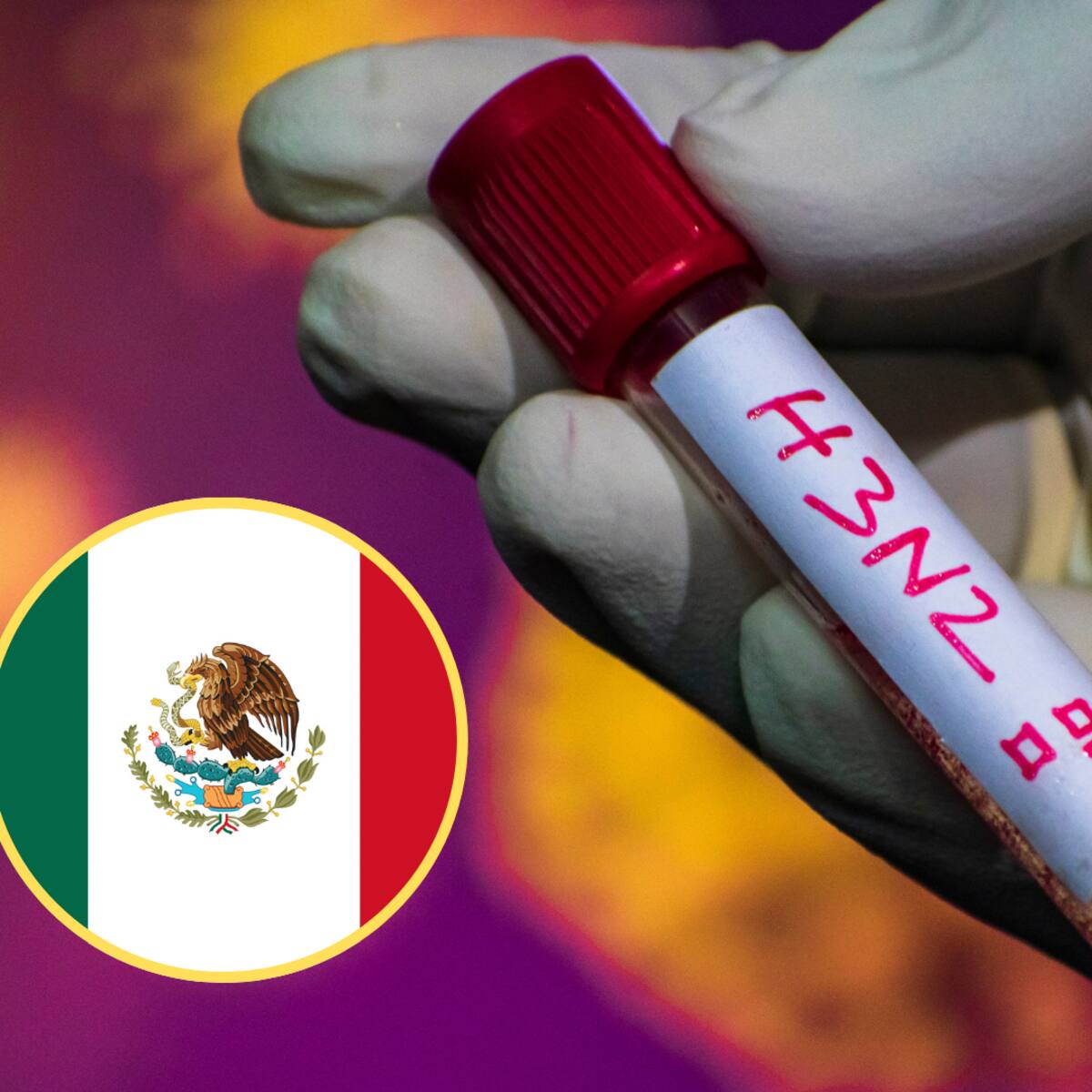 México confirmó el primer caso de la variante K de influenza A H3N2 en la capital del país