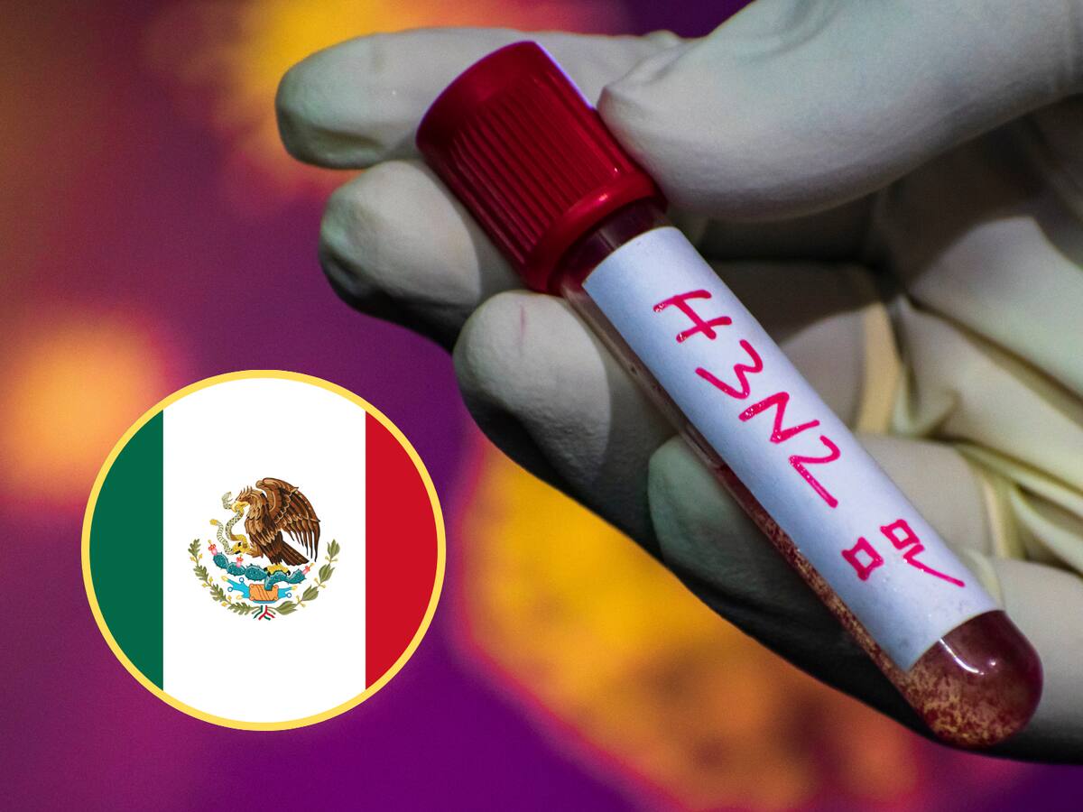México confirmó el primer caso de la variante K de influenza A H3N2 en la capital del país