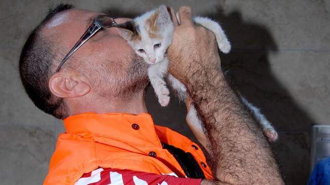 Metin Keskin, un trabajador de mantenimiento de carreteras de la alcaldía de Estambul, rescató a un gato bebé que había quedado atrapado en el agua utilizando respiración boca a boca. Foto: Agencia Anadolu