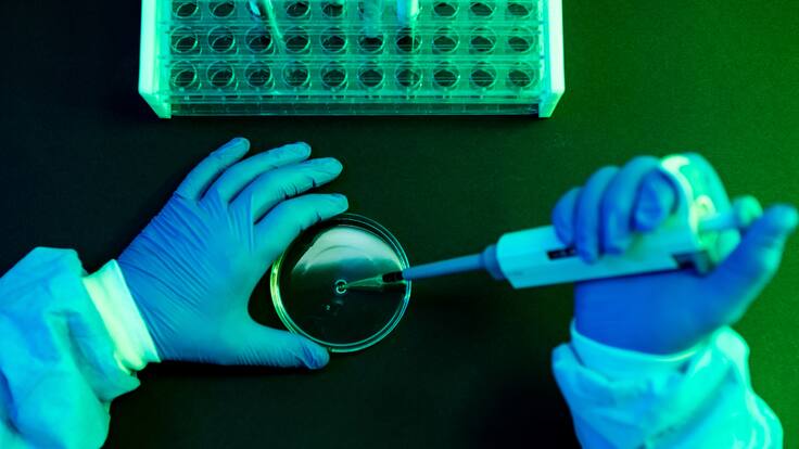 Células CAR-T: una terapia revolucionaria contra el cáncer ¿De qué se trata?