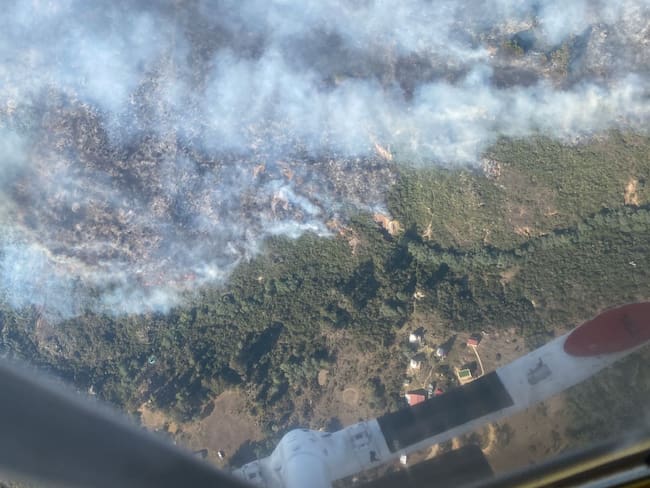 Incendio Forestal en Tominé Cundinamarca. Foto: Gobernación.