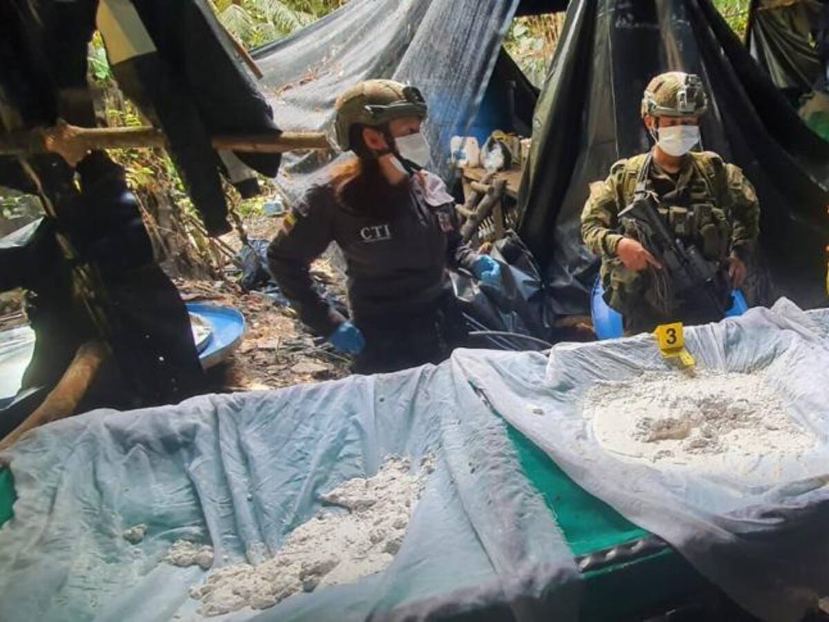 Caen 10 toneladas de coca en Nariño: la más grande incautación de este año