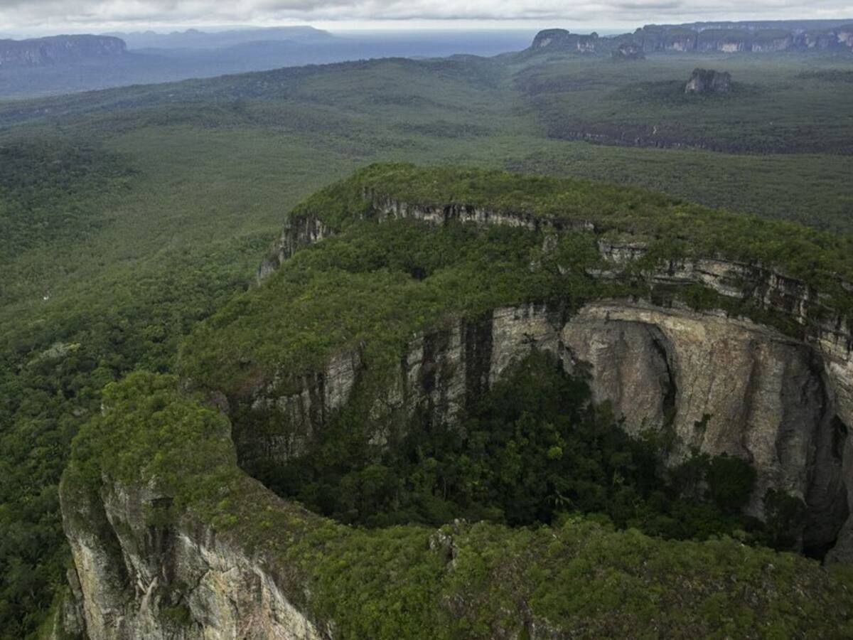 Imputan a gobernador indígena por deforestación en el Parque de Chiribiquete