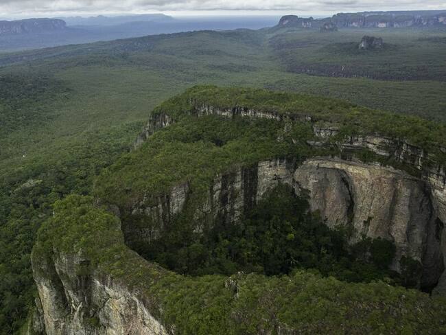 Cae responsable de deforestación en el Parque de Chiribiquete. Foto: Colprensa