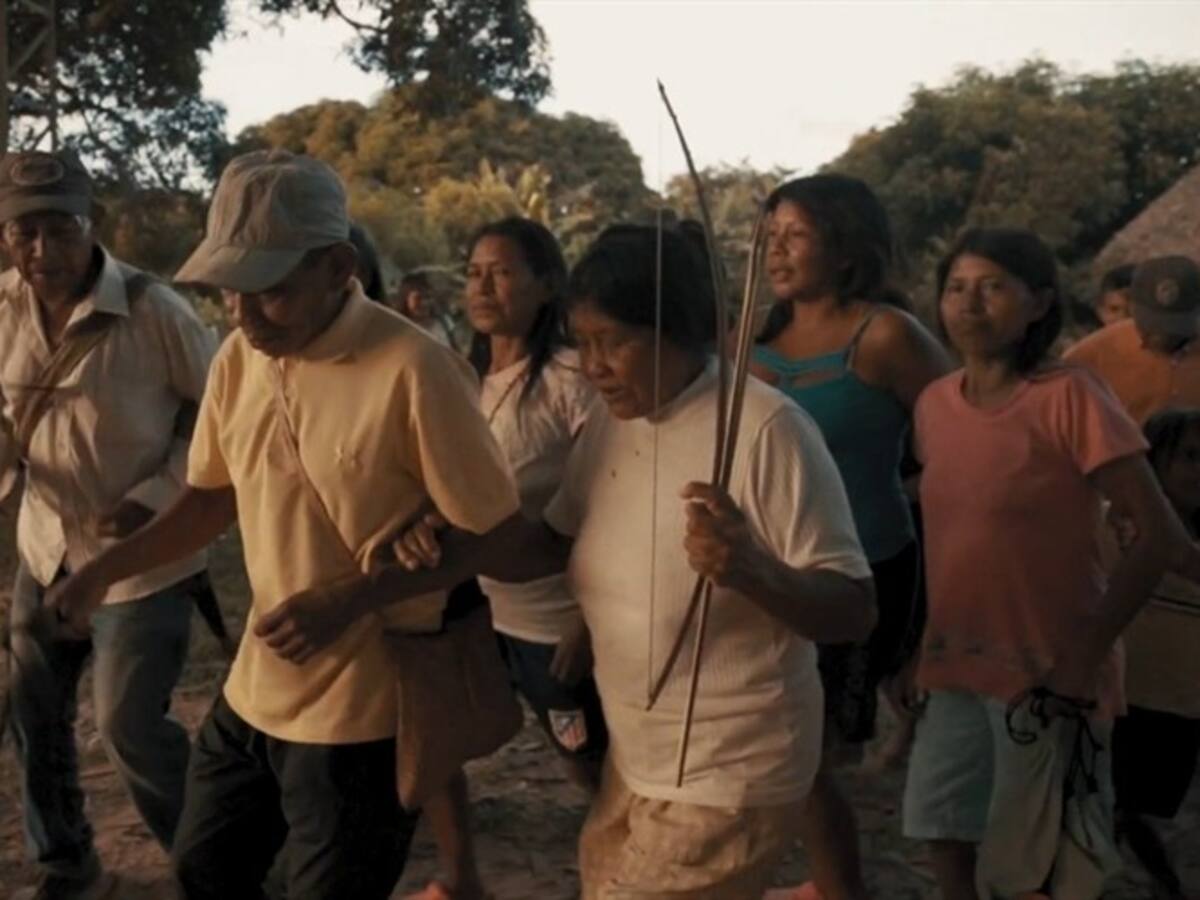 "Sembrando nuestros saberes", un viaje a la memoria de cinco pueblos indígenas en Colombia