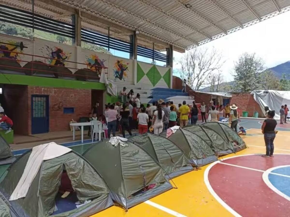 Defensoría del Pueblo emitió nueva alerta temprana para Argelia, Cauca