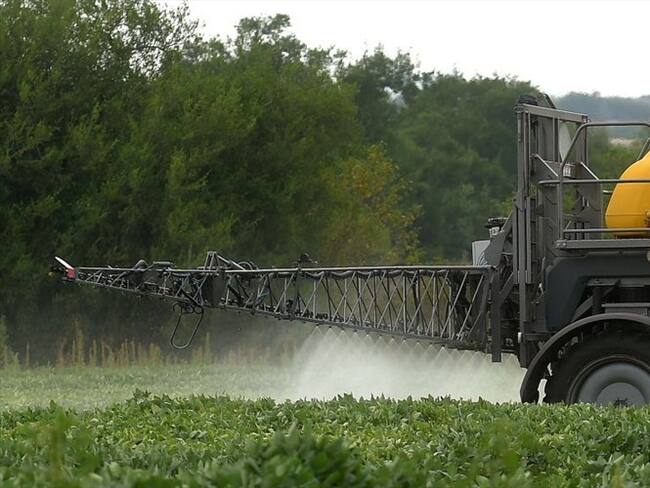 ¿Cómo se debe interpretar la decisión de la Corte sobre aspersión aérea con glifosato?