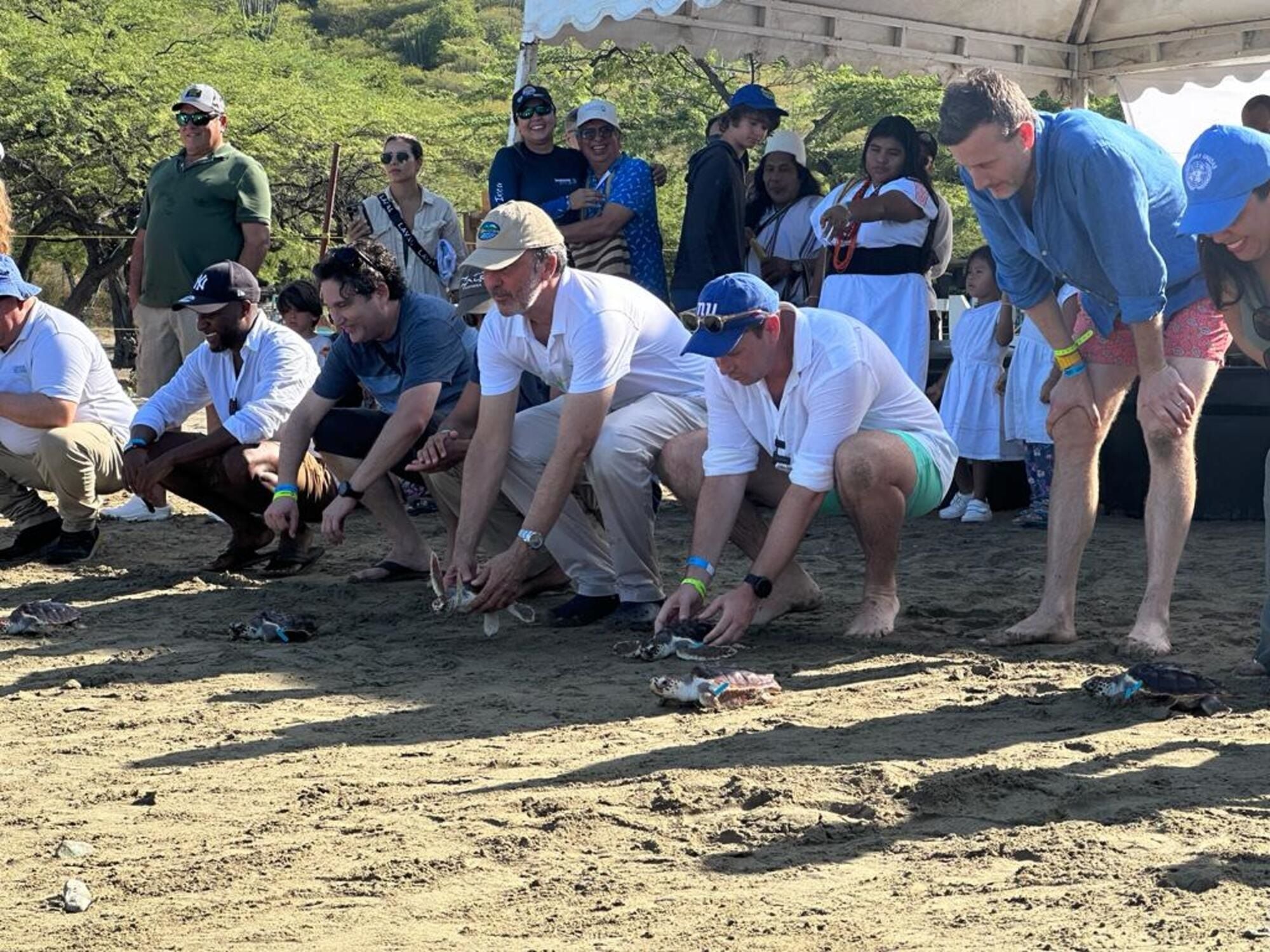 Liberación de especies en Inca Inca/ Corpamag