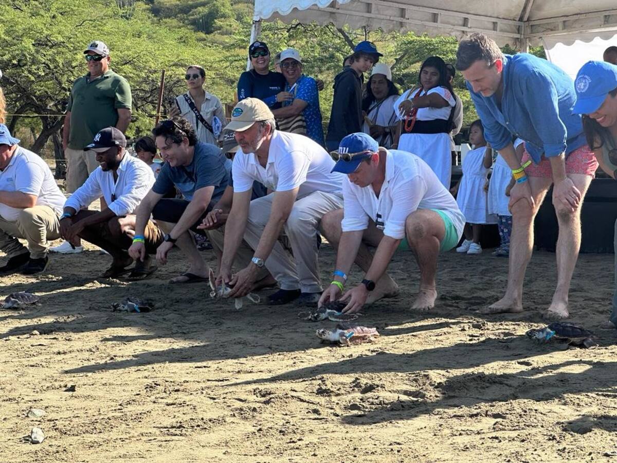 Embajador del Reino Unido y director de Corpamag, liberaron 22 especies marinas