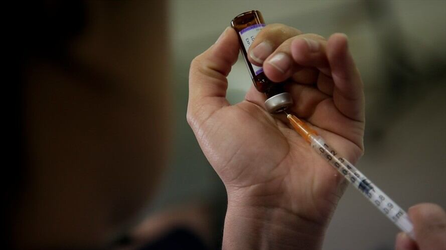 El Ica hizo claridad sobre los animales que deben ser vacunados contra la fiebre aftosa. Foto: Colprensa