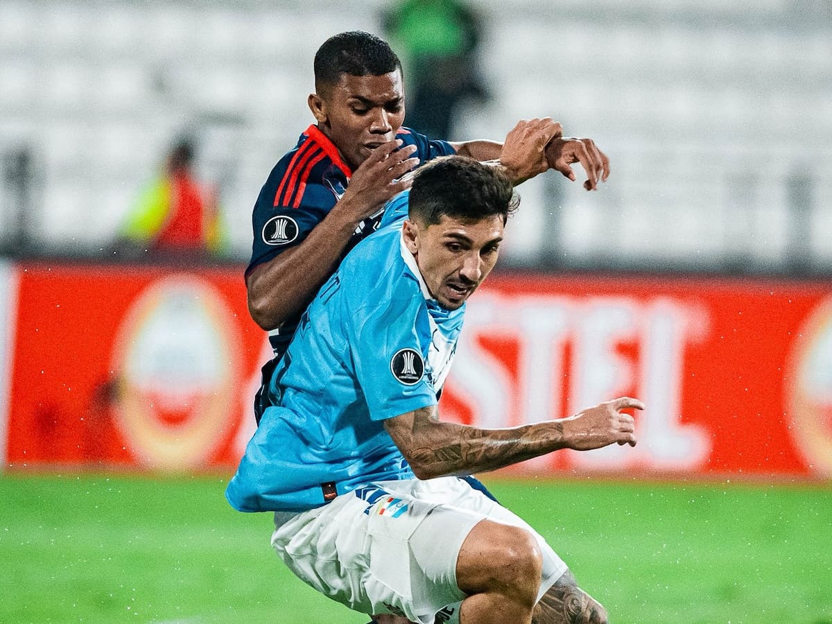 Copa Libertadores: Así quedó Junior en la tabla de posiciones tras empate entre Cerro y Palmeiras