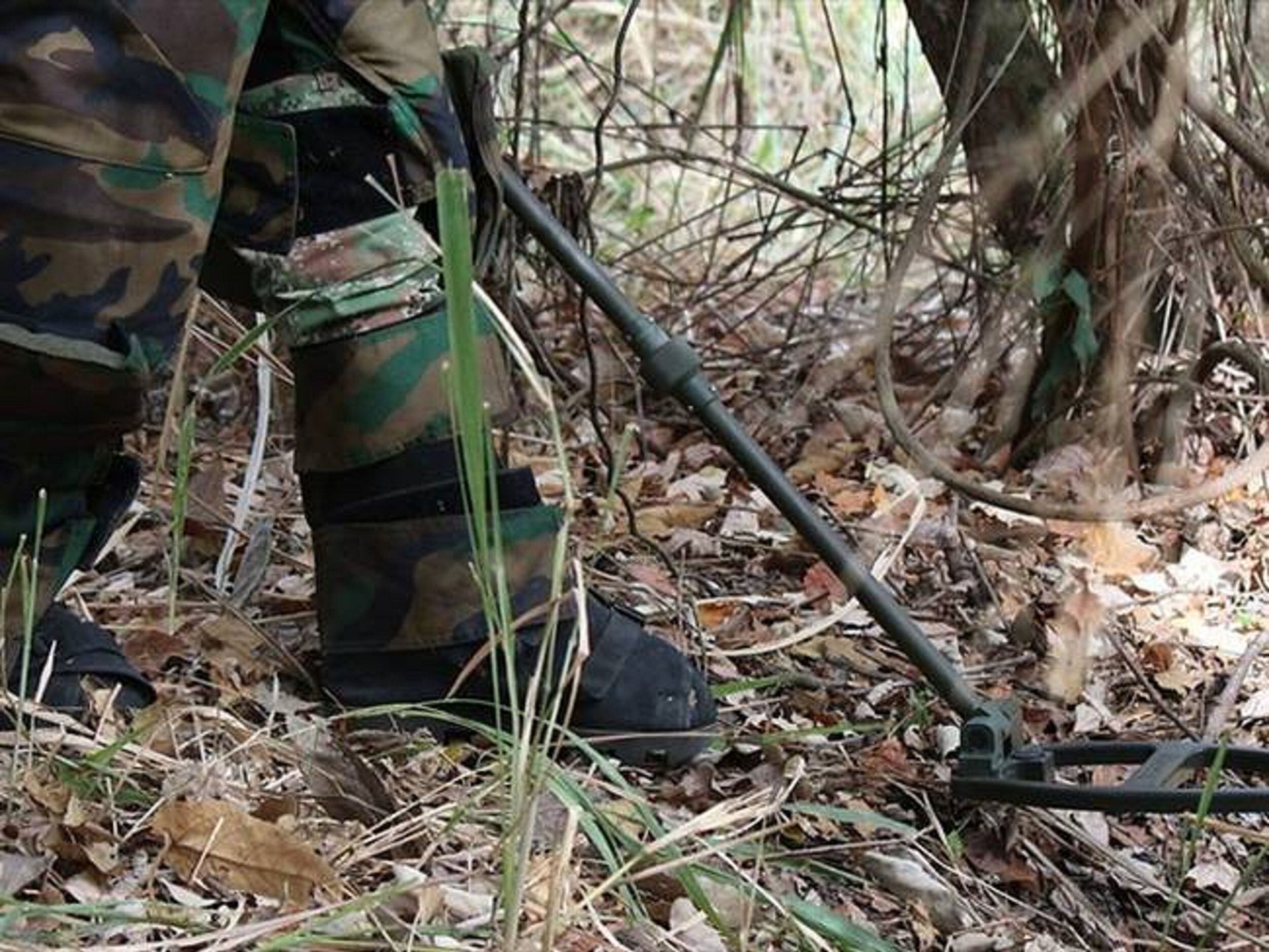 Dentro de las víctimas 14 fueron menores de edad. Foto: Colprensa