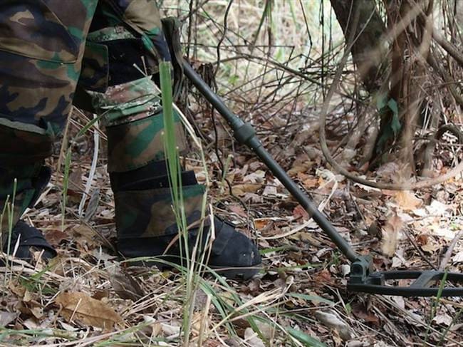 Dentro de las víctimas 14 fueron menores de edad. Foto: Colprensa