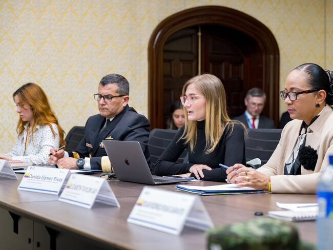 Daniela Gómez Rivas, viceministra de Defensa. Twitter: @mindefensa