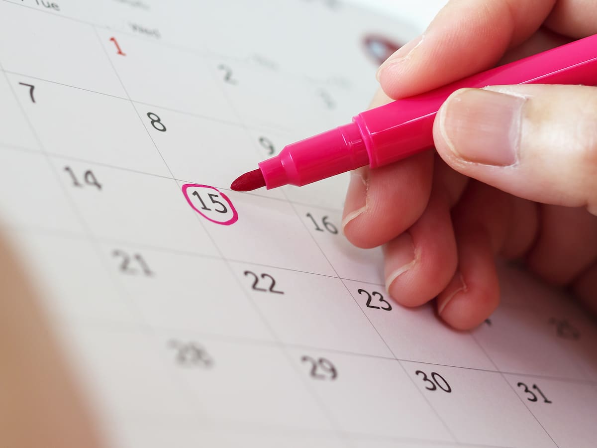 Estos son los días festivos en agosto 2025: Fecha exacta, feriados y explicación de la celebración