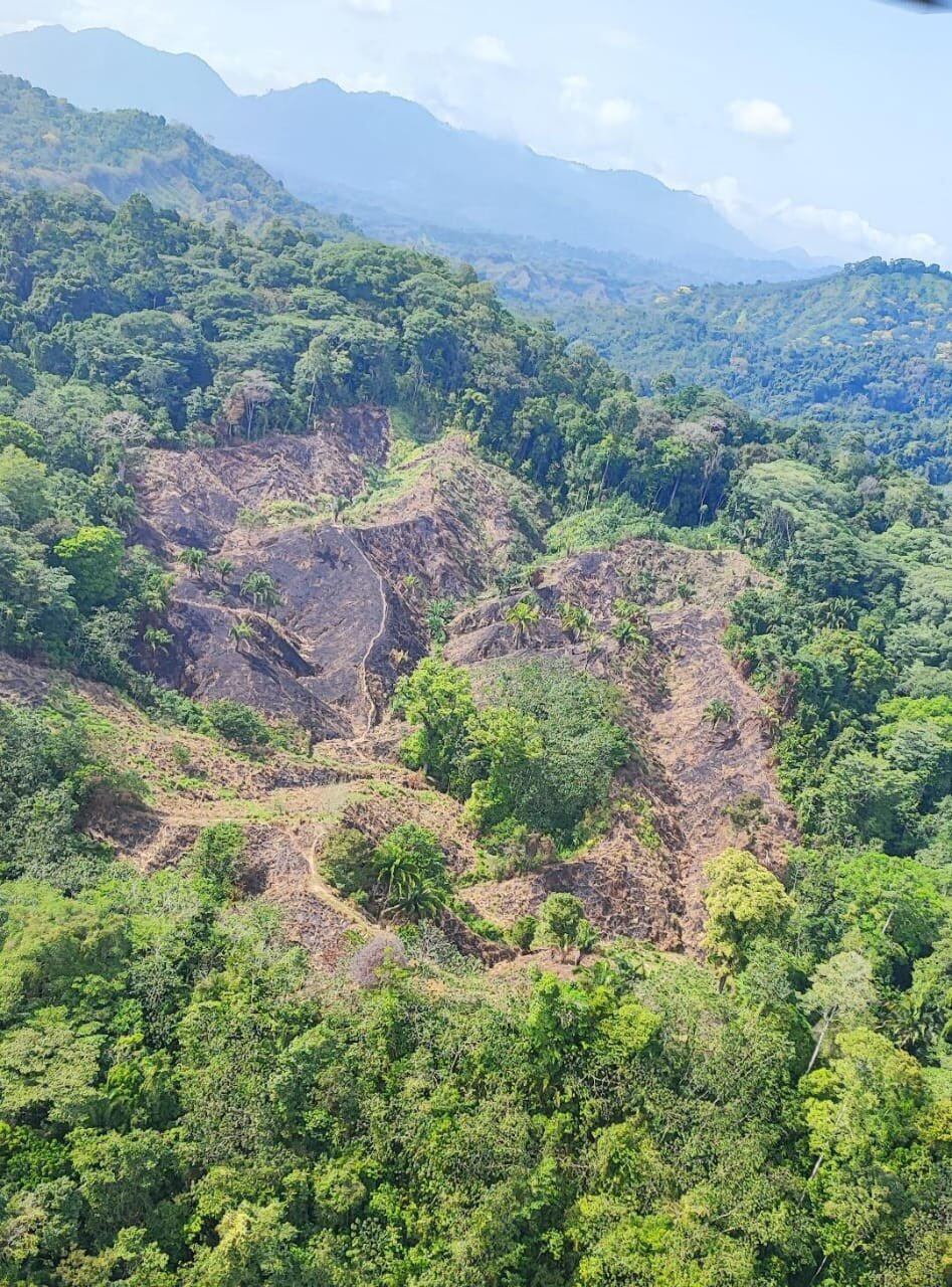 Sierra Nevada de Santa Marta, luego del incendio/ UNGRD