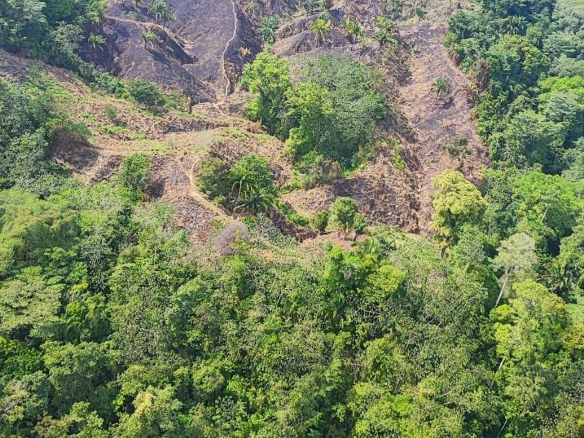 Controlado incendio en la Sierra Nevada de Santa Marta