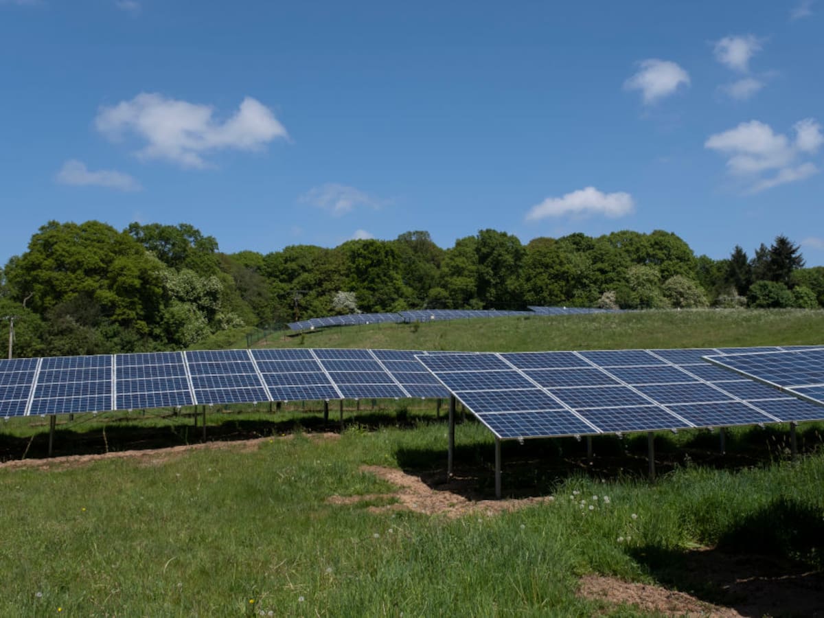 Pequeños comerciantes advierten perjuicios por impuesto a la energía solar