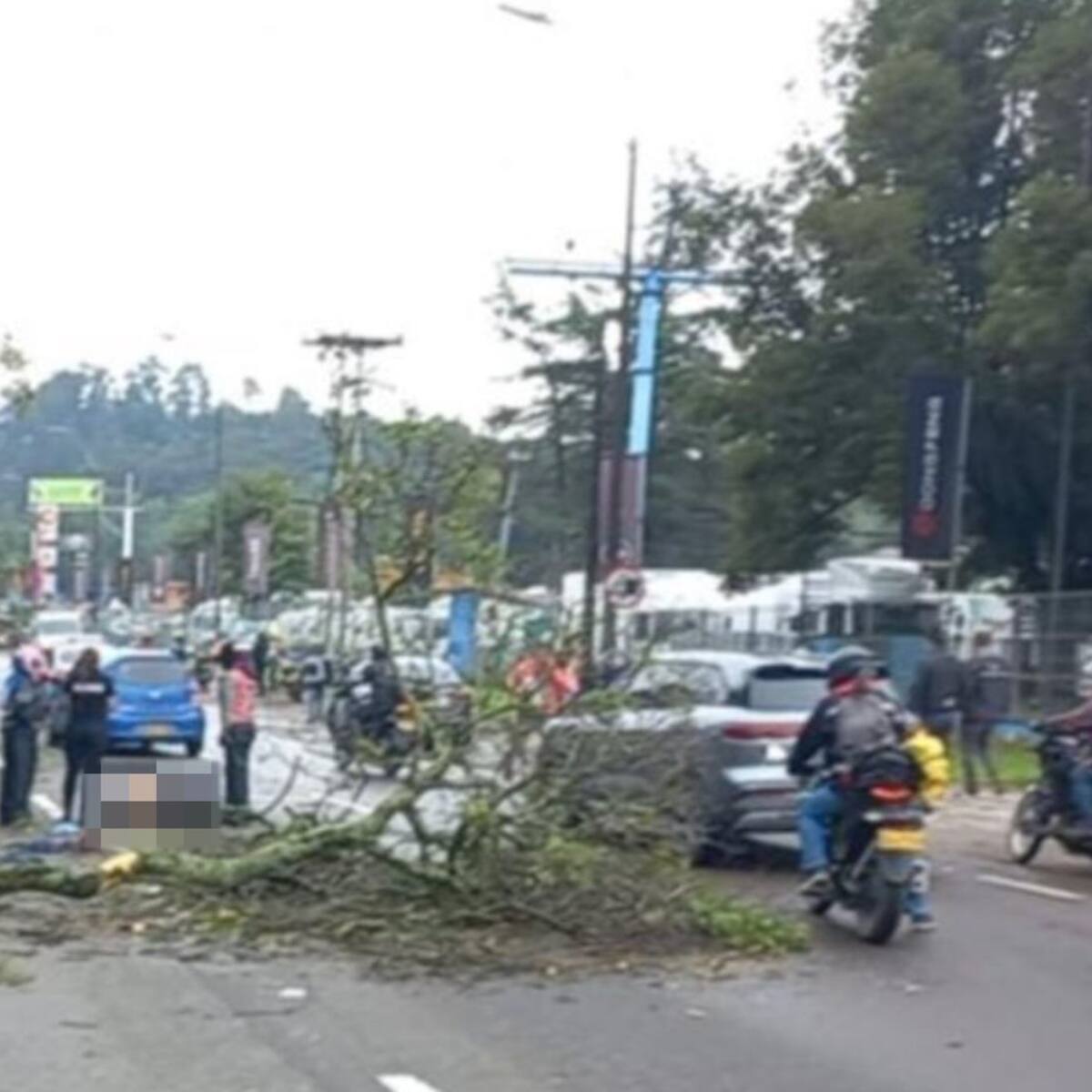 Un motociclista murió tras caerle un árbol en la Autopista Norte de Bogotá
