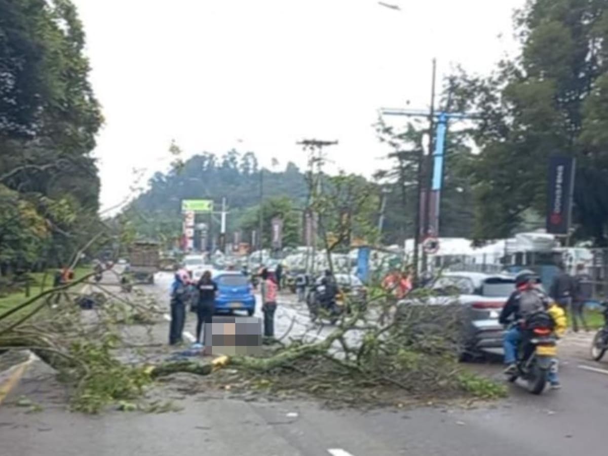 Un motociclista murió tras caerle un árbol en la Autopista Norte de Bogotá