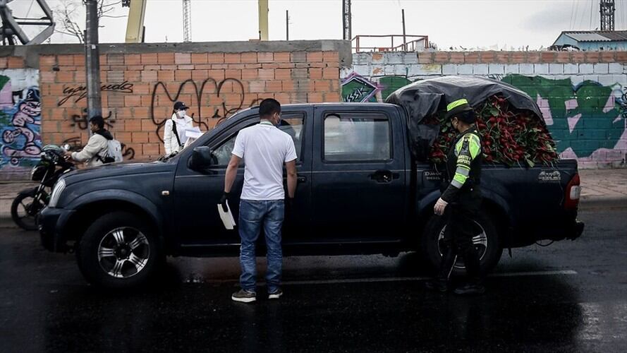 Así será el trámite virtual para sacar su vehículo de los patios. Foto: Colprensa