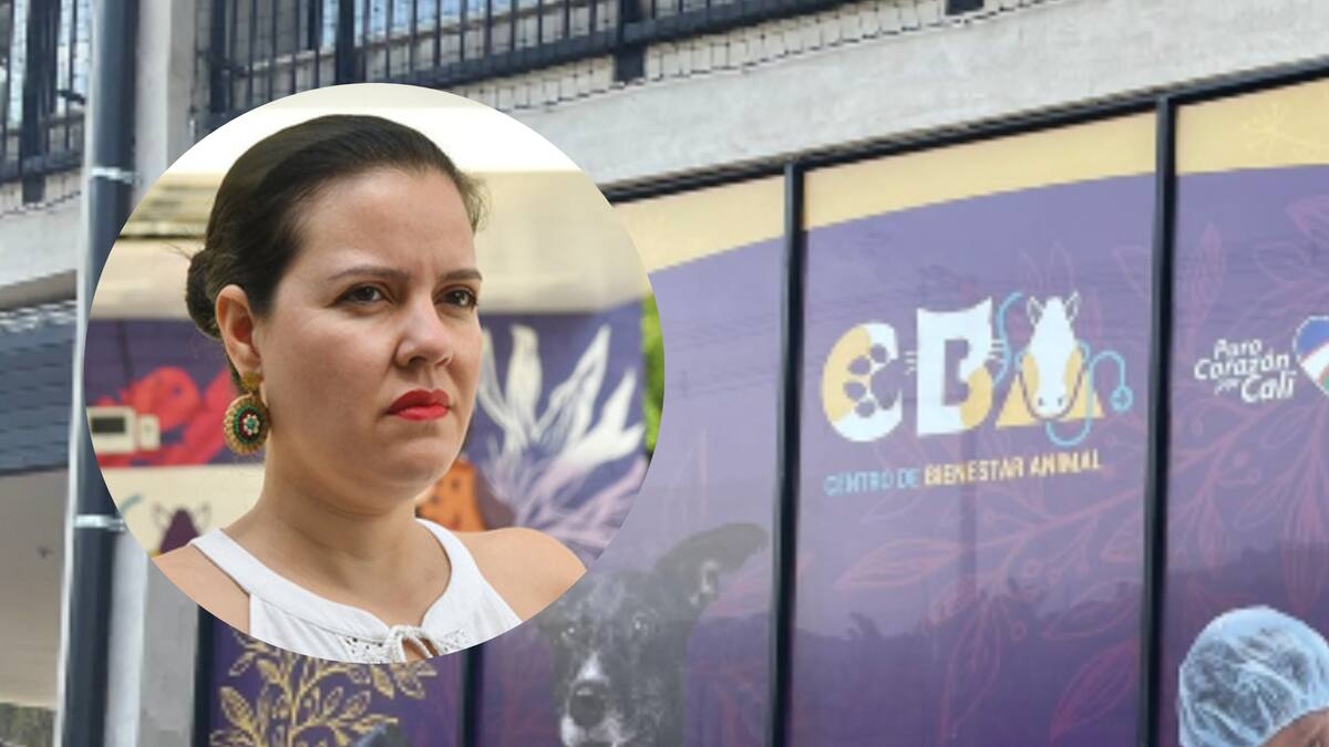 “Es un malentendido”: directora de Bienestar Animal de Cali responde por polémico audio