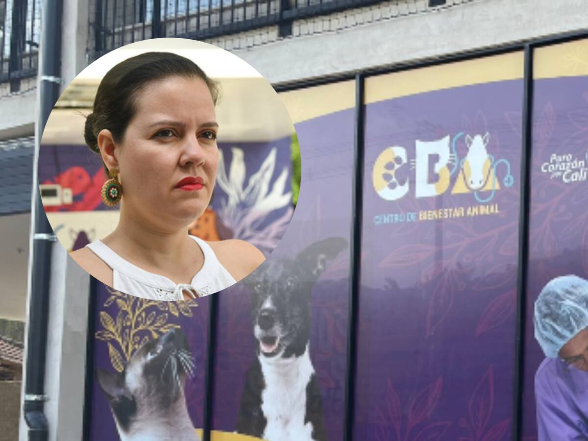 “Es un malentendido”: directora de Bienestar Animal de Cali responde por polémico audio