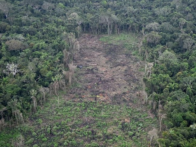 Deforestación en Colombia. Foto: RAUL ARBOLEDA/AFP via Getty Images