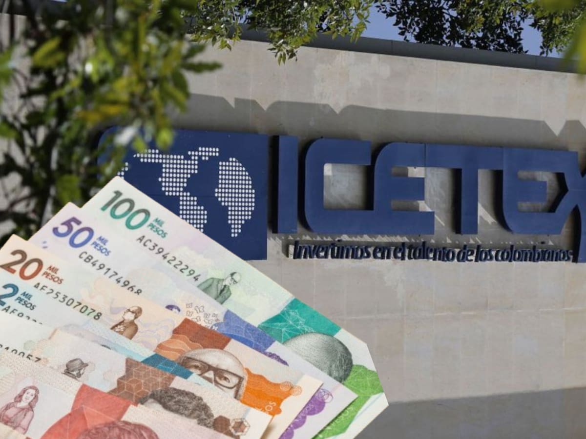 Usuarios del Icetex pidieron al Senado apoyo para reformar la entidad