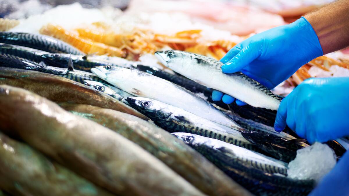 Manipulación de alimentos: expiden certificaciones falsas de profesionales en Bogotá