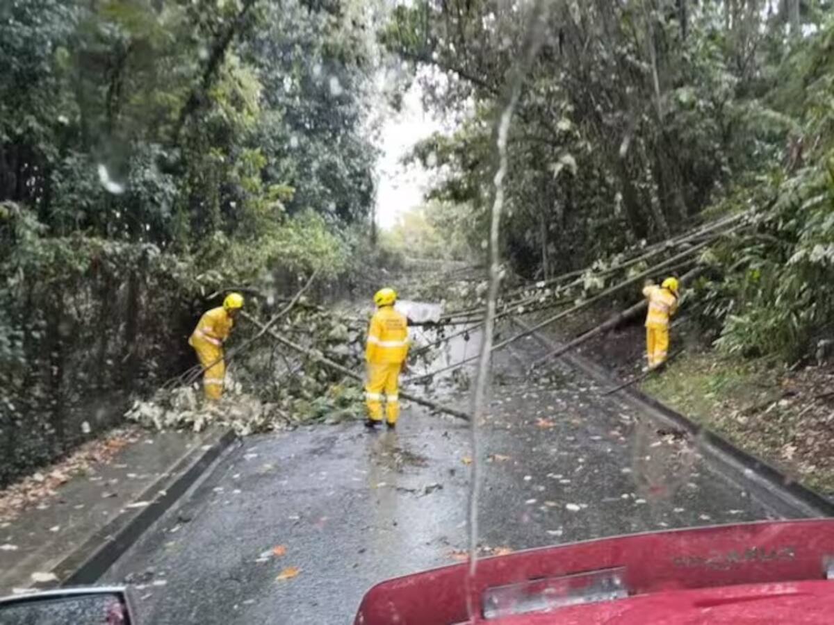 Nueve estaciones de monitoreo de lluvias en Manizales están en alerta amarilla