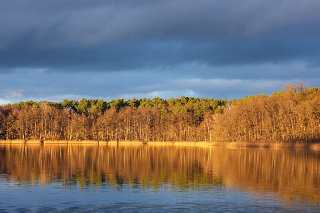 Brandenburg, Mühlenbecker Land, imagen de referencia (Por Soeren Stache/picture alliance via Getty Images)