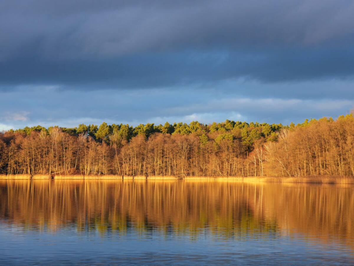 Los últimos ocho años han sido los más calidos registrados, según la ONU
